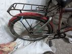 Bicycle for sell