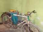 Bicycle for sale