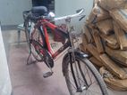 Duranta Bicycle for sale