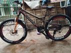 Duranta Bicycle for sale