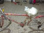 Bicycle for sell