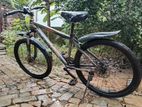 Phoenix Bicycle For Sale