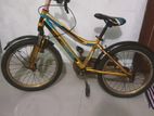 Duranta Bicycle For Sale