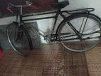 Bicyce for sell