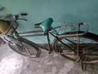 Bicycle for sell