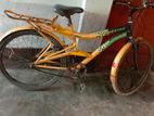 Bicycle for sell