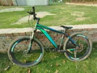 Phoenix Bicycle for Sale