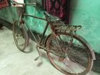 Bicycle for sell