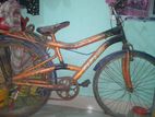 Bicycle for sell