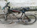 Bicycle for sell