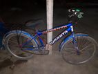 Bicycle For Sell