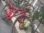 Duranta Bicycle for sale