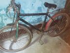 Bicycles for sell