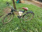 Bicycle for sell