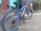 Bicycle for Sale