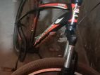 Duranta Bicycle for Sale