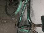 Bicycle for sale