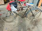 Express Bicycle for sale