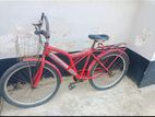 Duranta Bicycle for Sale