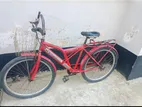 Duranta Bicycle for Sale