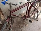 Bicycle for sell