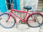 Bicycle for sell.