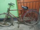 সাইকেলটি আসলে খুব ভালো চলে