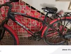 Prince Bicycle for Sale