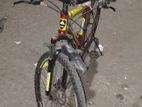 Duranta Bicycle for sale