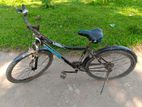 Duranta Bicycle for sale