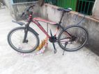 Duranta Bicycle For Sale
