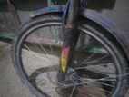 Duranta Bicycle for sale