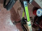 Bicycle Sale