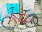 Bicycle for sell.