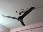 সাকিরা ফ্যান