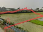 সাতক্ষীরা সদরে এক দাগে প্রায় ২ বিঘা জমি বিক্রয় হবে