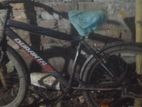 Duranta Bicycle For Sale