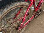Duranta Bicycle for sale
