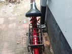 Bicycle for sell