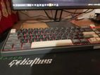 Mechanical Gaming Keyboard