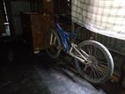 Bicycle for sell