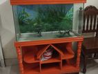 Sale Fish Aquarium