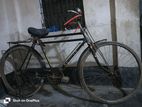Phoenix Bicycle for sale