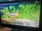 Samsung 19 inch Monitor //Full Fresh