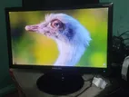 Samsung 19" Ips Led Monitor
