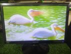 Samsung 19" Slim LED monitor ( full Fresh)