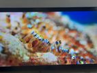 Samsung 43″ Crystal 4K UHD Smart TV