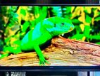 Samsung-43" Inch Basic Non Smart TV