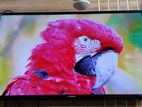 Samsung-46-Inchi Basic Non Smart TV