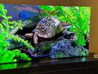 Samsung 75"8k Qled Dubai Smart Wifi Android Tv 1 Month Used New Conditio